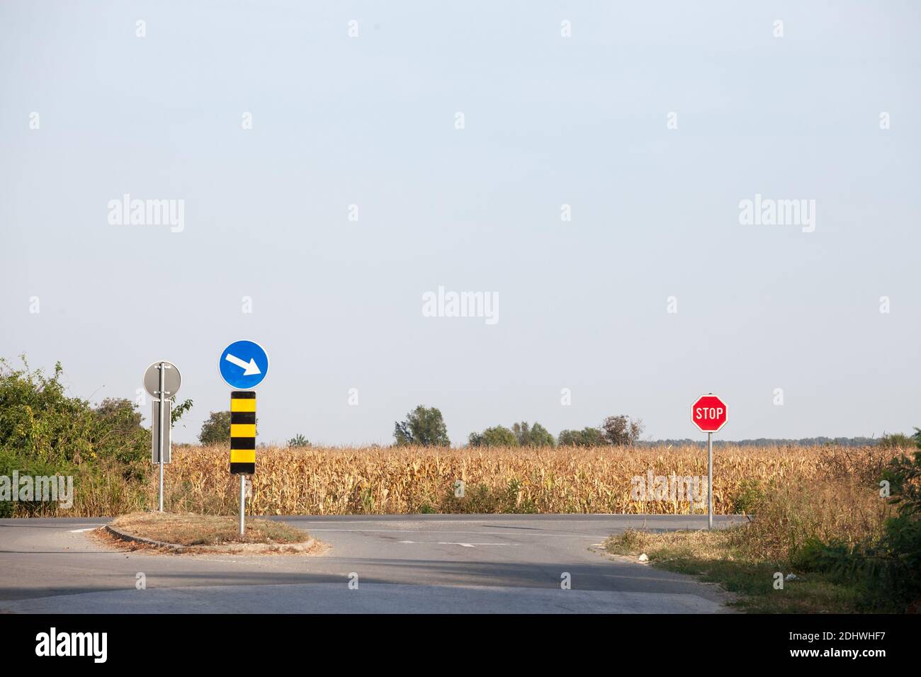 Carrefour européen, intersection entre deux routes asphaltées, avec signalisation standard et panneaux stop, dans un environnement rural. Image d'un type Banque D'Images