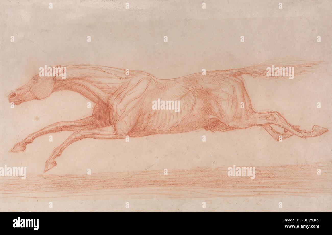 Etude d'un cheval de course en action: Galloping à gauche, une étude semi-anatomique, avec la peau Flayed pour montrer l'action des muscles, George Stubbs, 1724–1806, britannique, non daté, la craie rouge et le graphite sur papier mince, lisse, crème de la feuille: 6 3/4 x 10 5/8 pouces (17.1 x 27 cm), étude de figure, cheval (animal), étude (travail visuel), queue (suspendu Banque D'Images