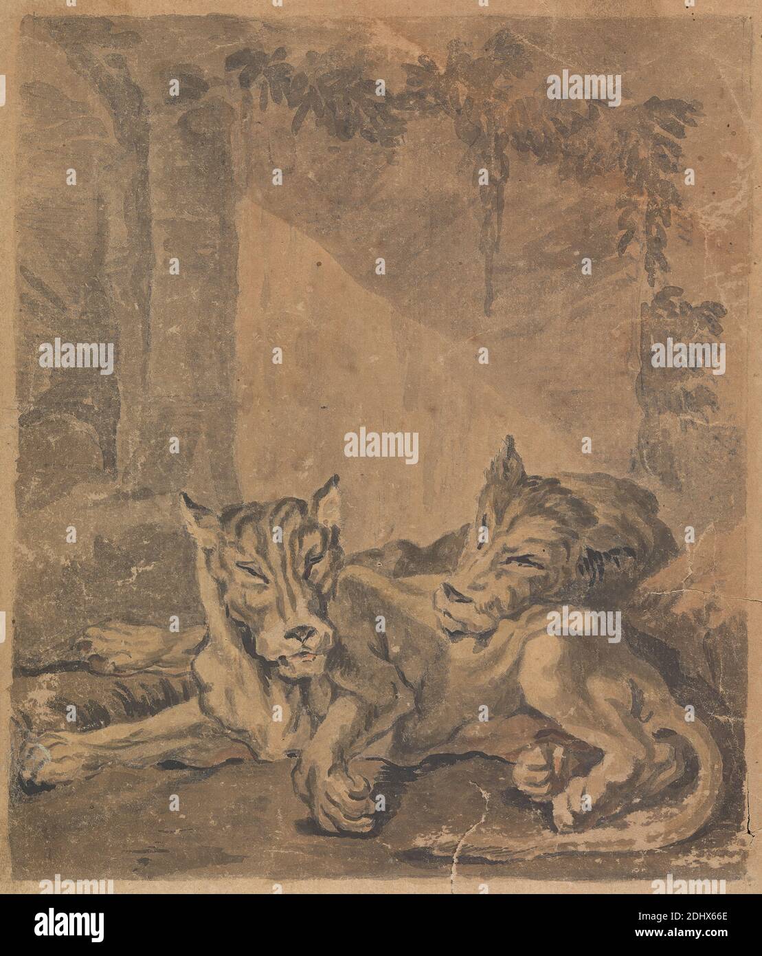 Two Tigers, Sawrey Gilpin, 1733–1807, British, 1760, aquarelle, graphite, stylo et encre noire sur papier semi-texturé, beige, paré, feuille: 6 7/8 x 5 7/8in. (17.5 x 14,9 cm) et image : 6 1/2 x 5 1/2 pouces (16.5 x 14 cm), art des animaux Banque D'Images