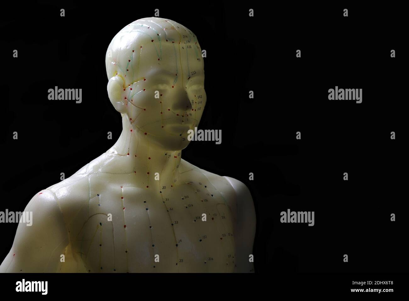 modèle d'acupuncture masculin sur fond noir Banque D'Images