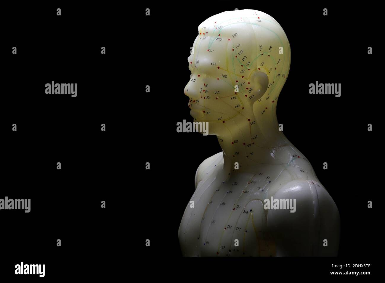 modèle d'acupuncture masculin sur fond noir Banque D'Images