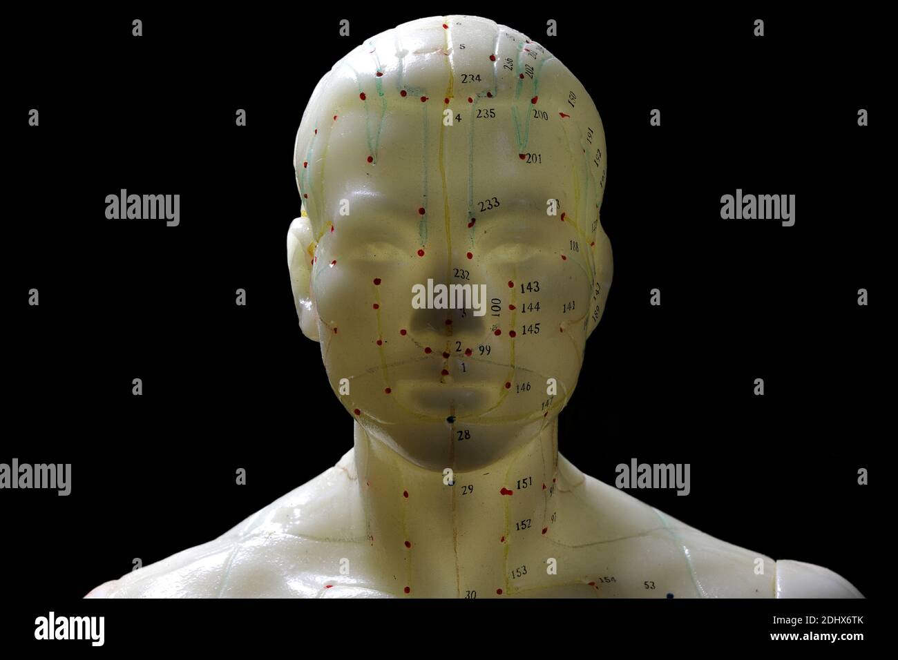 modèle d'acupuncture masculin sur fond noir Banque D'Images