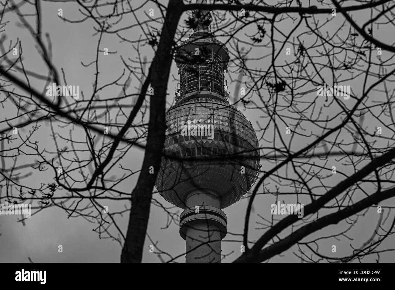 Le Berliner Fernsehturm (allemand: Berliner Fernsehturm) derrière des branches en hiver en noir et blanc Banque D'Images