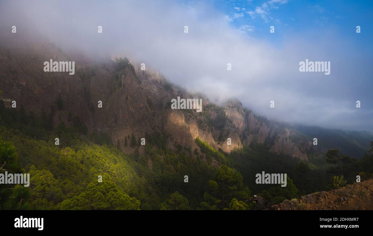 montagne parmi les nuages avec une forêt verte sous elle Banque D'Images