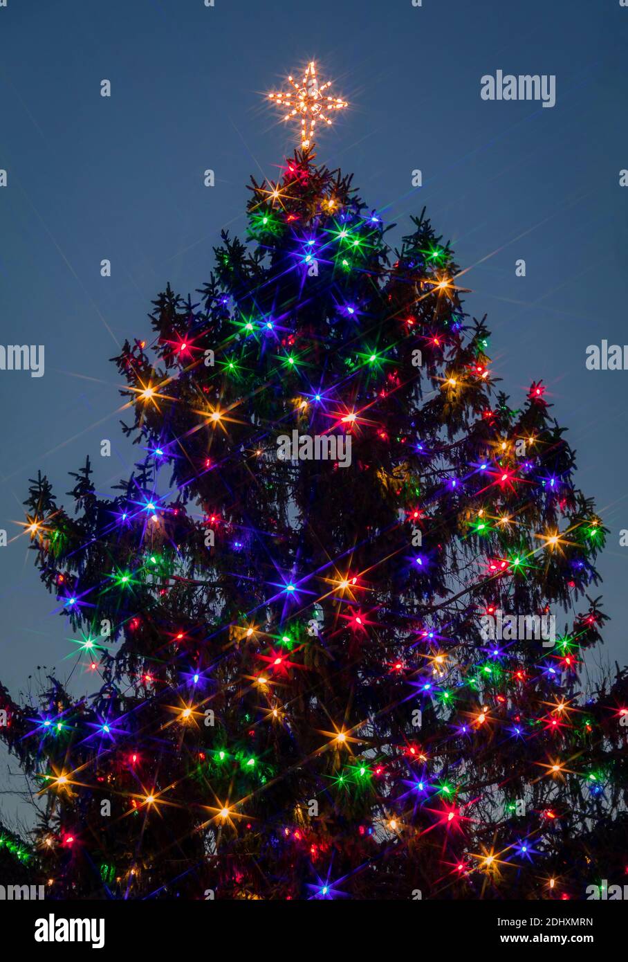 Le sapin de Noël est haut au crépuscule, avec un filtre en étoile pour un  effet créatif intentionnel Photo Stock - Alamy