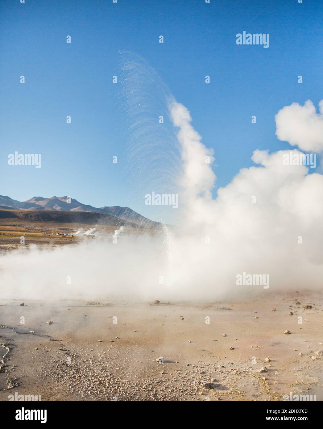 Un grand geyser explose au champ de geyser El Tatio et dans la zone géothermique, en hauteur dans les Andes, dans la région d'Atacama, dans le nord du Chili, en Amérique du Sud Banque D'Images