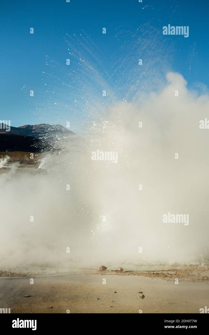 Un grand geyser explose au champ de geyser El Tatio et dans la zone géothermique, en hauteur dans les Andes, dans la région d'Atacama, dans le nord du Chili, en Amérique du Sud Banque D'Images