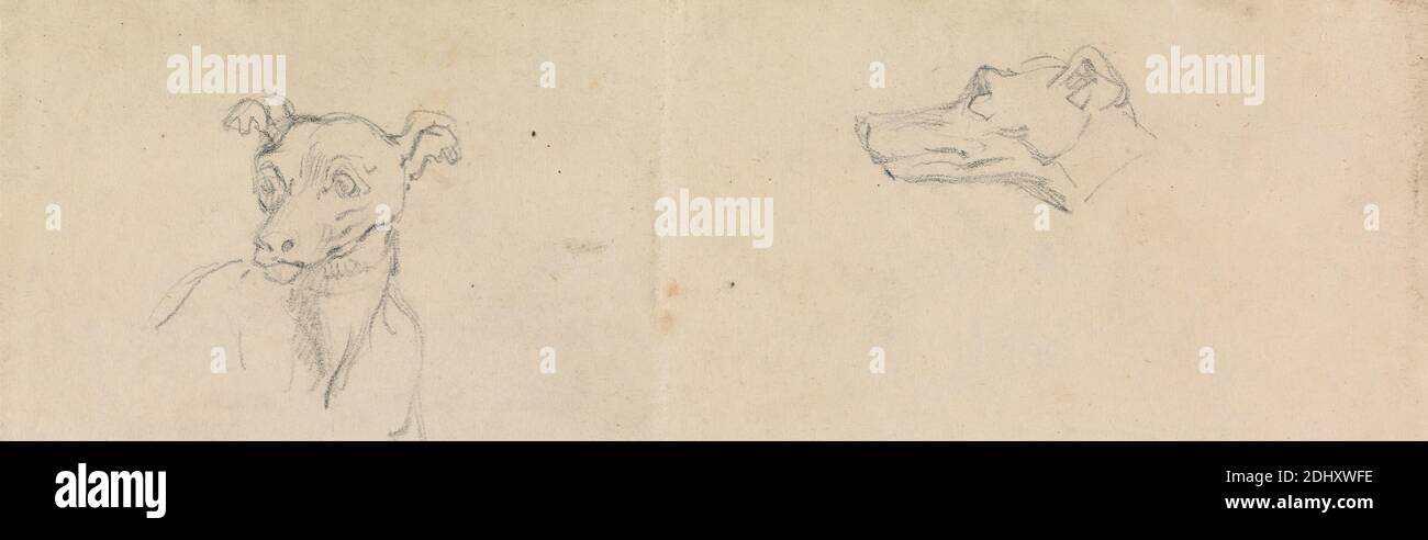 Croquis d'un chien, Robert Smirke, 1752–1845, British, et / ou Mary Smirke, 1779–1853, British, non daté, Graphite sur moyen, légèrement texturé, crème, papier vélin, monté sur papier épais, lisse, brun, vélin, feuille: 1 15/16 × 5 15/16 pouces (4.9 × 15.1 cm) et support: 12 11/16 × 25.6 cm (10 1/16 × 32.2 pouces) Banque D'Images