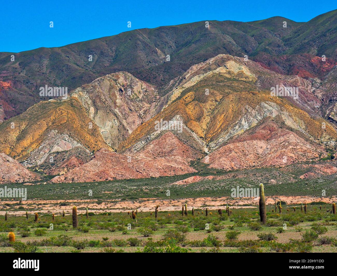 Paysage accidenté du nord de l'Argentine, 2020 Banque D'Images