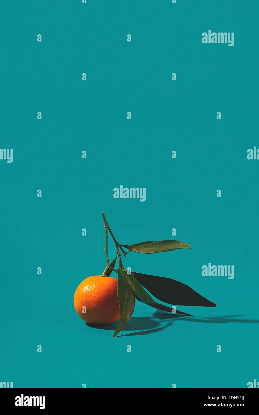 Mandarines sur fond turquoise avec ombres Banque D'Images