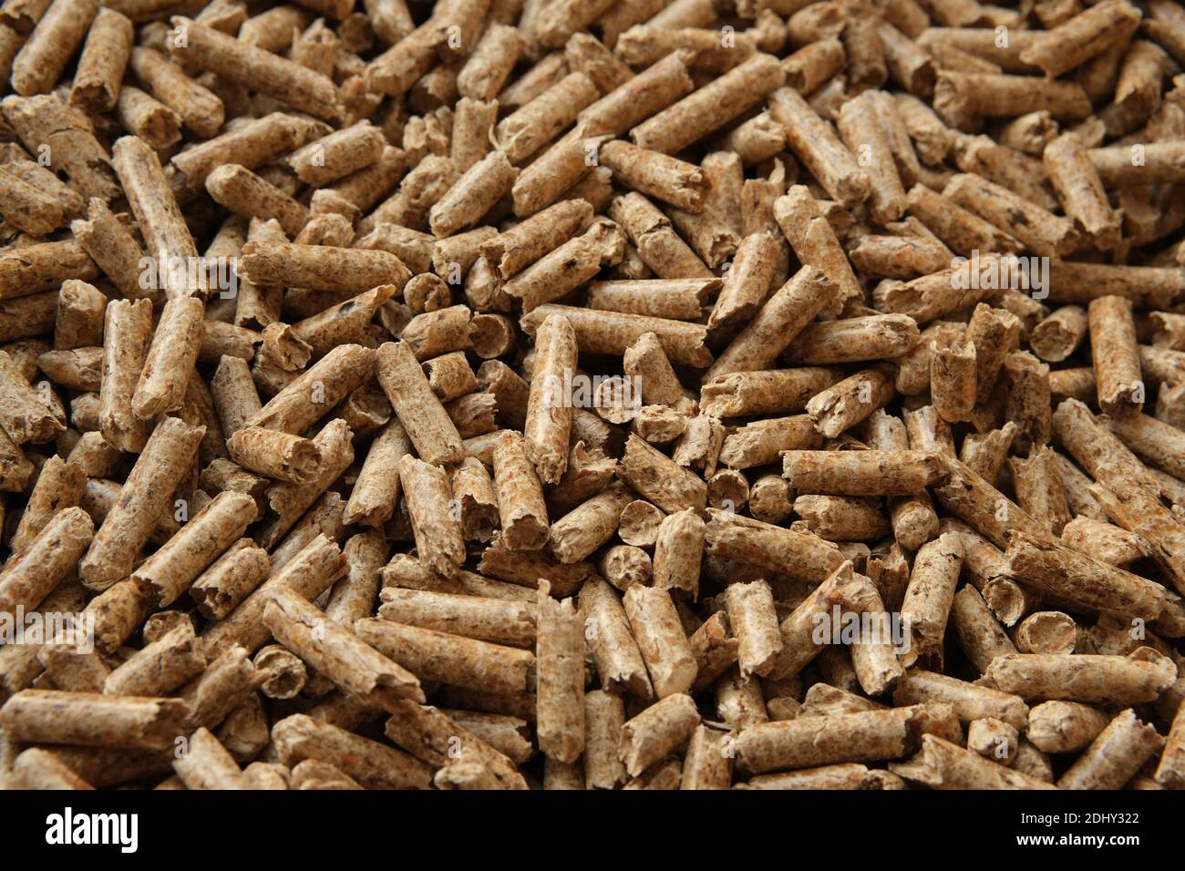 Texture des granulés de bois. Granulés de bois comprimés utilisés comme litière naturelle pour chats. Matériau écologique et biodégradable. Banque D'Images