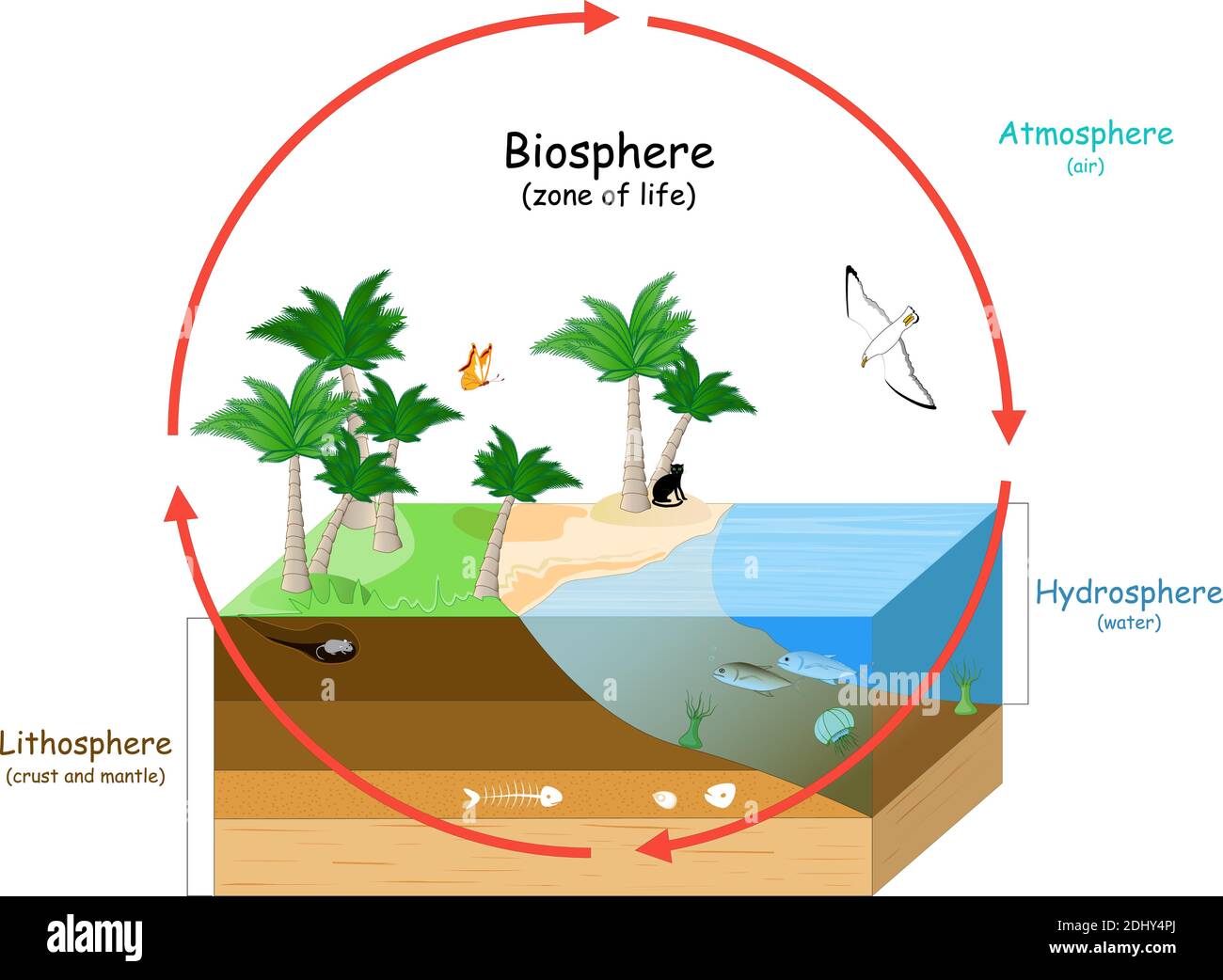 Ecosistemas Forestales Banque D Images Vectorielles Alamy   La Biosphere Est Une Zone De Vie Sur Terre Les Ecosystemes Naturels Avec La Faune Ecosphere Environnement Hydrosphere Eau Atmosphere Air Lithosphere 2dhy4pj 