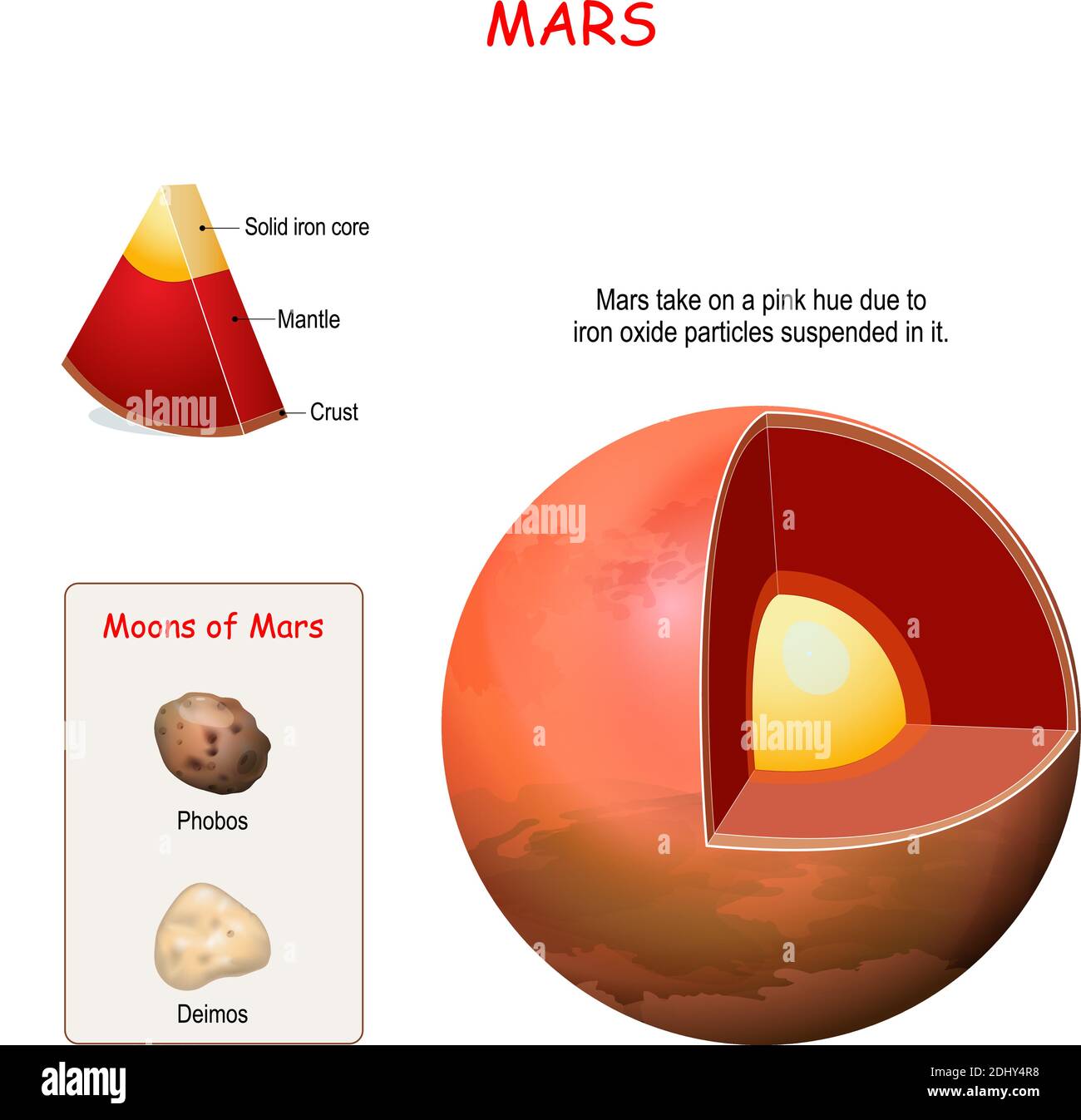 Structure interne Mars. Section transversale de la planète du noyau au manteau et à la croûte. Deimos et Phobos - deux lunes de Mars. Système solaire. Infographies Illustration de Vecteur