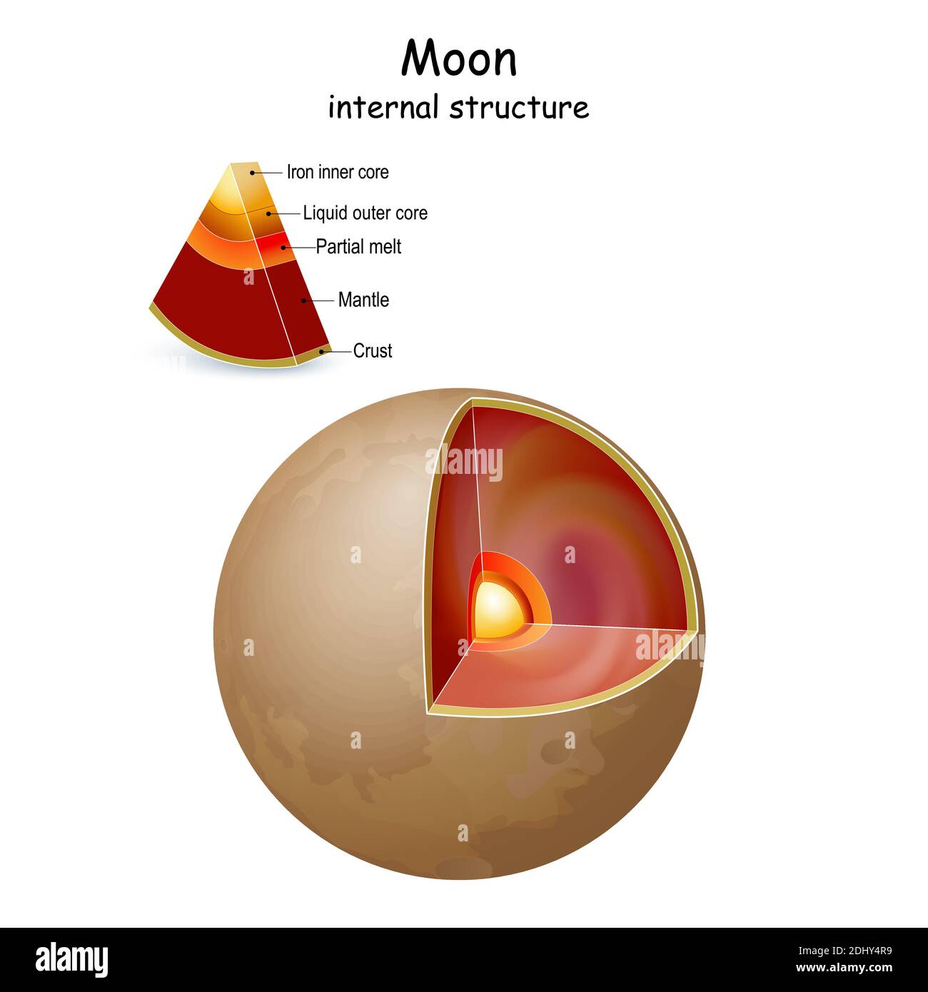 Structure interne de la lune et intérieur. Section transversale du satellite naturel de la Terre du noyau au manteau et à la croûte. Infographiques. Diagramme vectoriel Illustration de Vecteur