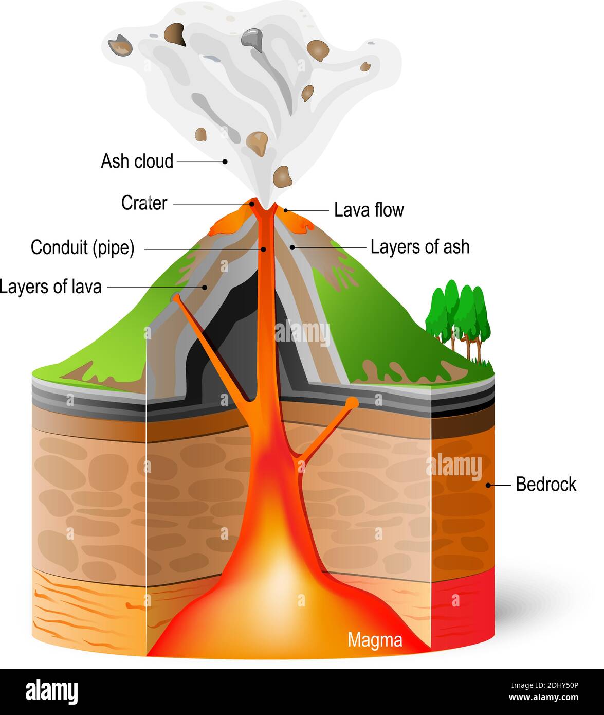Coupe transversale du volcan. Schéma d'éruption sur fond blanc. Infographie vectorielle Illustration de Vecteur