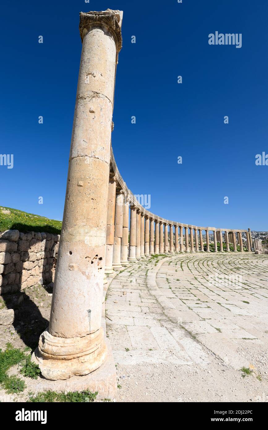 Colonnes ioniques de Oval Plaza à Jerash, Jordanie. Photo verticale de la Colonnade de la place ovale de la vieille ville de Jerash. Colonnes ioniques alignées. Banque D'Images