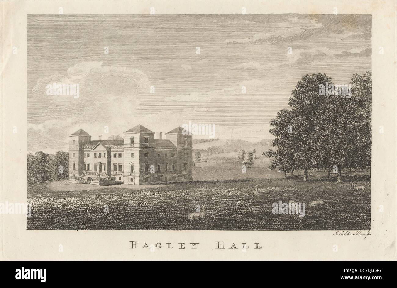 Hagley Hall, imprimé par James Caldwall, 1739–1819, Britannique, non daté, gravure et gravure au trait sur papier à feuilles de feuilles de 8 3/8 x 11 7/16 pouces (21.3 x 29.1 cm), plaque de 6 1/4 x 9 3/8 pouces (15.8 x 23.8 cm), et image : 5 3/16 x 8 3/16 pouces (13.1 x 20.8 cm), animaux, sujet architectural, architecture, bâtiment, cerf, champ, herbe, pâturage, maison, manoir, parc (terrain), escaliers, arbres, marche, femmes, Angleterre, Hagley, Hagley Hall, Royaume-Uni, Worcestershire Banque D'Images