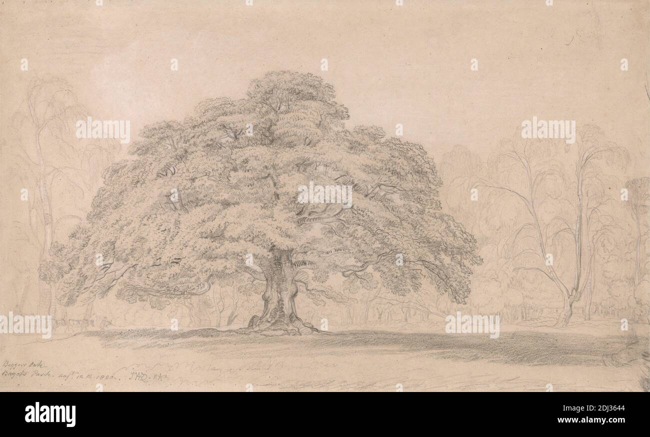 The Beggar's Oak, Bagot's Park, 12 août 1820 (CÉLÈBRE arbre antique sur le domaine de Blithfield Hall de Lord Bagot à Staffordshire), James Ward, 1769–1859, British, 1820, Graphite et craie noire et blanche sur papier vélin moyen, légèrement texturé, crème, feuille : 13 5/8 x 22 3/4 pouces (34.6 x 57.8 cm) et bordure dessinée contemporaine: 16 3/4 x 25 1/2 pouces (42.5 x 64.8 cm), mendiant, paysage, chêne, parc (terrain), arbre, Angleterre, Staffordshire, Royaume-Uni Banque D'Images