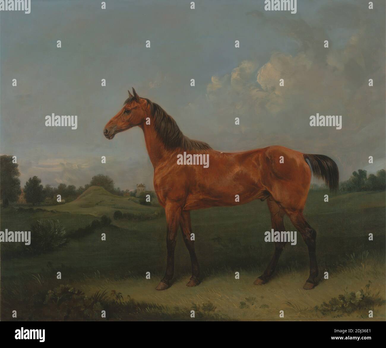 A Bay Horse in a Field, Edmund Bristow, 1787–1876, British, CA. 1825, huile sur toile, support (PTG): 21 x 25 pouces (53.3 x 63.5 cm), animal, bâtiment, champ, collines, paysage, rural Banque D'Images