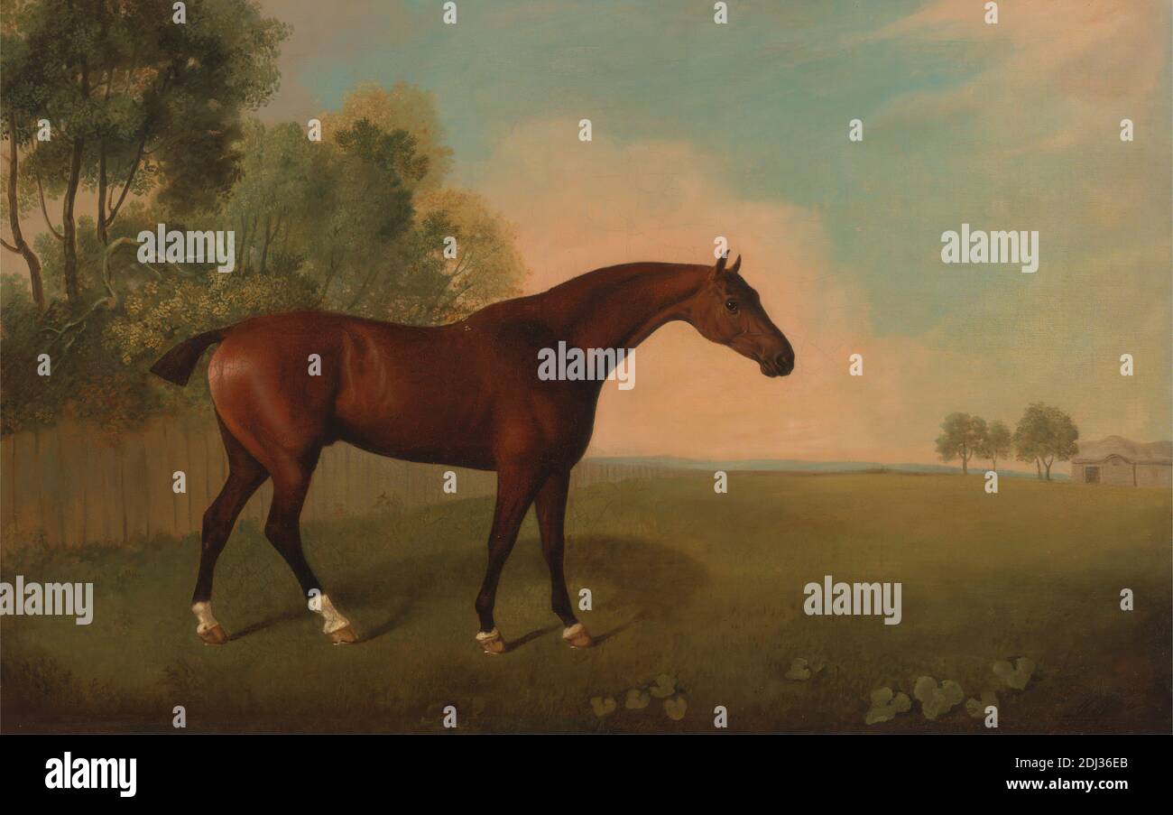 A Bay Horse in a Field, John Boultbee, 1753–1812, British, 1778, huile sur toile, support (PTG): 26 1/4 x 41 pouces (66.7 x 104.1 cm), animal, grange, campagne (paysage rural), clôture, champ, cheval (animal), paysage Banque D'Images