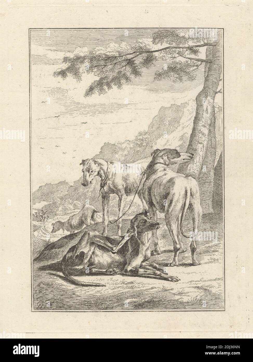 Four Dogs, a PL. For 'New Drawing Book...of Beasts in Various actions' (1 de 9), Print Made by George Bickham, 1683/4–1758, British, After unknown Artist, Published by Henry Overton, 1675/6–1751, British, Undate, Etching on medium, Smooth, crème poed paper, Sheet: 11 7/8 x 7 3/8 pouces (30.2 x 18.7 cm), plaque : 8 11/16 x 6 5/16 pouces (22 x 16 cm), et image : 7 1/2 x 5 1/8 pouces (19 x 13 cm), art animal, oiseaux, chiens (animaux), forêt, lévriers (race), chasseurs, chasse, paysage, laisse, repos, égratignures, entraînement, arbres Banque D'Images
