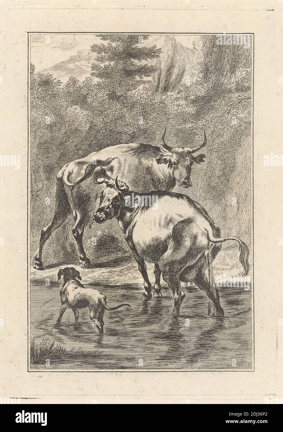 Deux vaches et un chien dans un ruisseau, PL. For 'A New Drawing Book..of beasts in Various actions' (1 de 9), Print Made by George Bickham, 1683/4–1758, British, After unknown Artist, publié par Henry Overton, 1675/6–1751, British, non daté, Etching on medium, lisse, crème patched paper, Sheet: 11 7/8 x 7 3/8 pouces (30.2 x 18.7 cm), plaque: 8 1/4 x 5 13/16 pouces (21 x 14.8 cm), et image: 7 3/16 x 4 3/4 pouces (18.2 x 12 cm), art animal, vaches, chien (animal), forêt, herbe, paysage, montagnes, plantes, rivière, arbres Banque D'Images