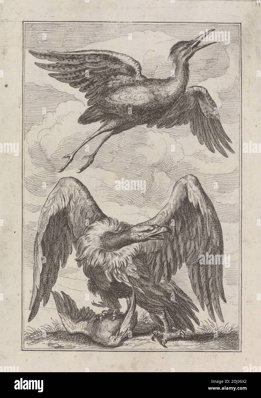 Une Vulture aux proies, et un héron, un PL. Pour 'UN nouveau livre de dessin... de divers types d'oiseaux, tiré de la vie par M. Francis Barlow, 1731' (1 de 9), imprimé par George Bickham, 1683/4–1758, British, d'après Francis Barlow, ca. 1626–1704, British, publié par Henry Overton, 1675/6–1751, British, 1731, Etching on medium, lisse, crème patched paper, Sheet: 11 5/16 x 7 3/8 pouces (28.8 x 18.7 cm), plate: 9 7/16 x 5 7/8 pouces (24 x 15 cm), et image: 7 3/16 x 4 3/4 pouces (18.2 x 12.1 cm), art animal, oiseaux, nuages, manger, voler, héron, plantes, vautour Banque D'Images