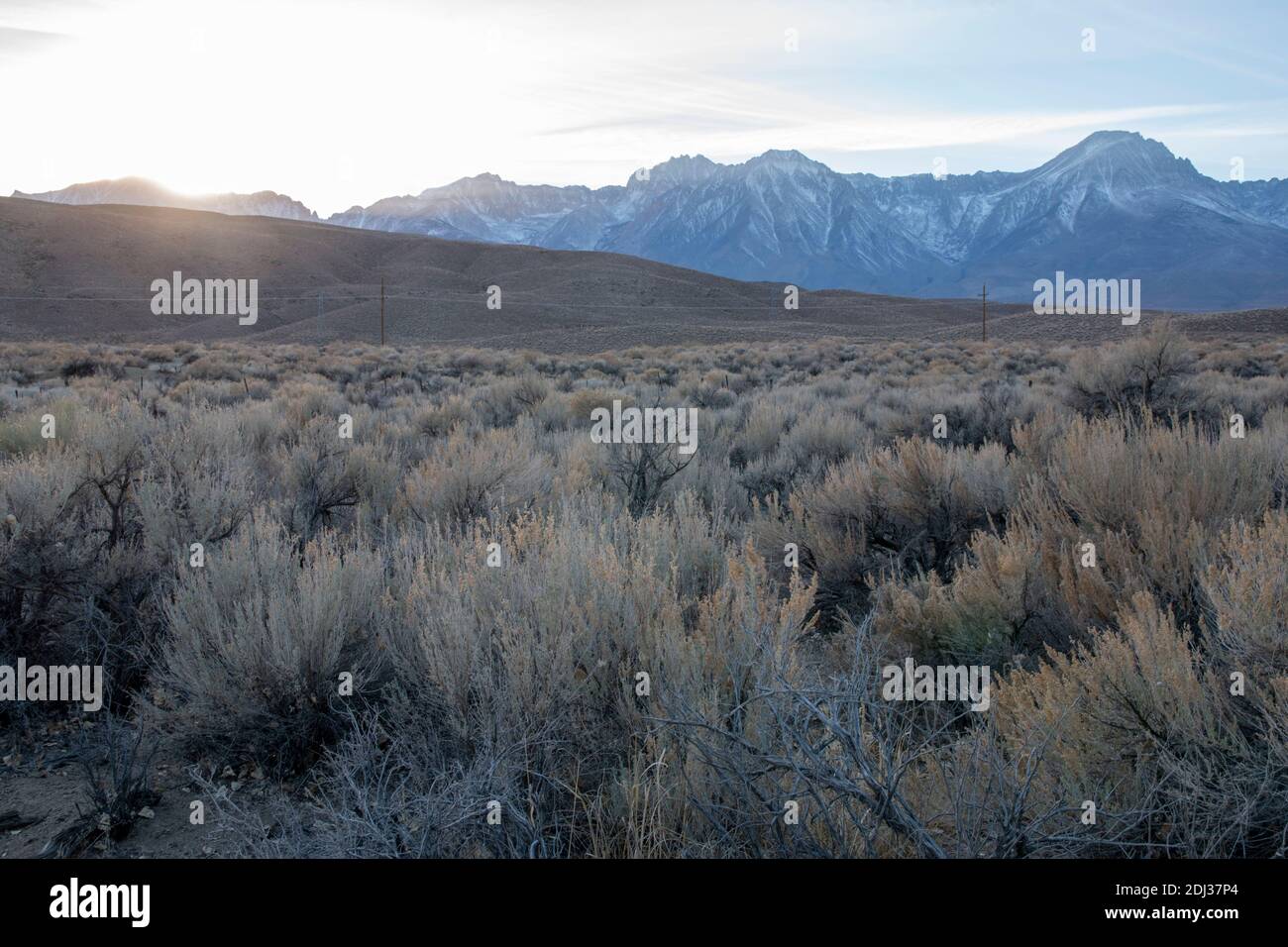 Tinemaha Reservoir est un lac du comté d'Inyo, en Californie, aux États-Unis, qui fournit de l'eau aux villes du sud de la Californie. C'est une maison à la faune comme les oiseaux. Banque D'Images
