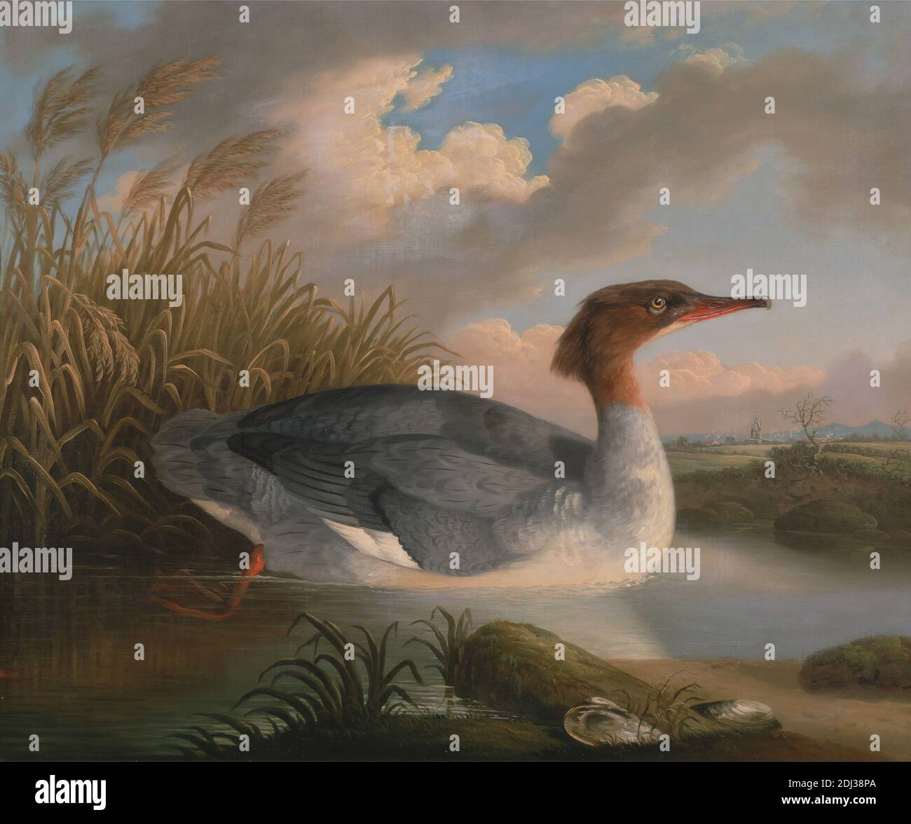 A Dun Diver (Goosander), Robert Wilkinson Padley, ca. 1775–1835, British, anciennement James Barenger, 1780–After 1831, British, 1817, huile sur toile, support (PTG): 25 x 30 pouces (63.5 x 76.2 cm), paysage, rivière, rural, art sportif Banque D'Images