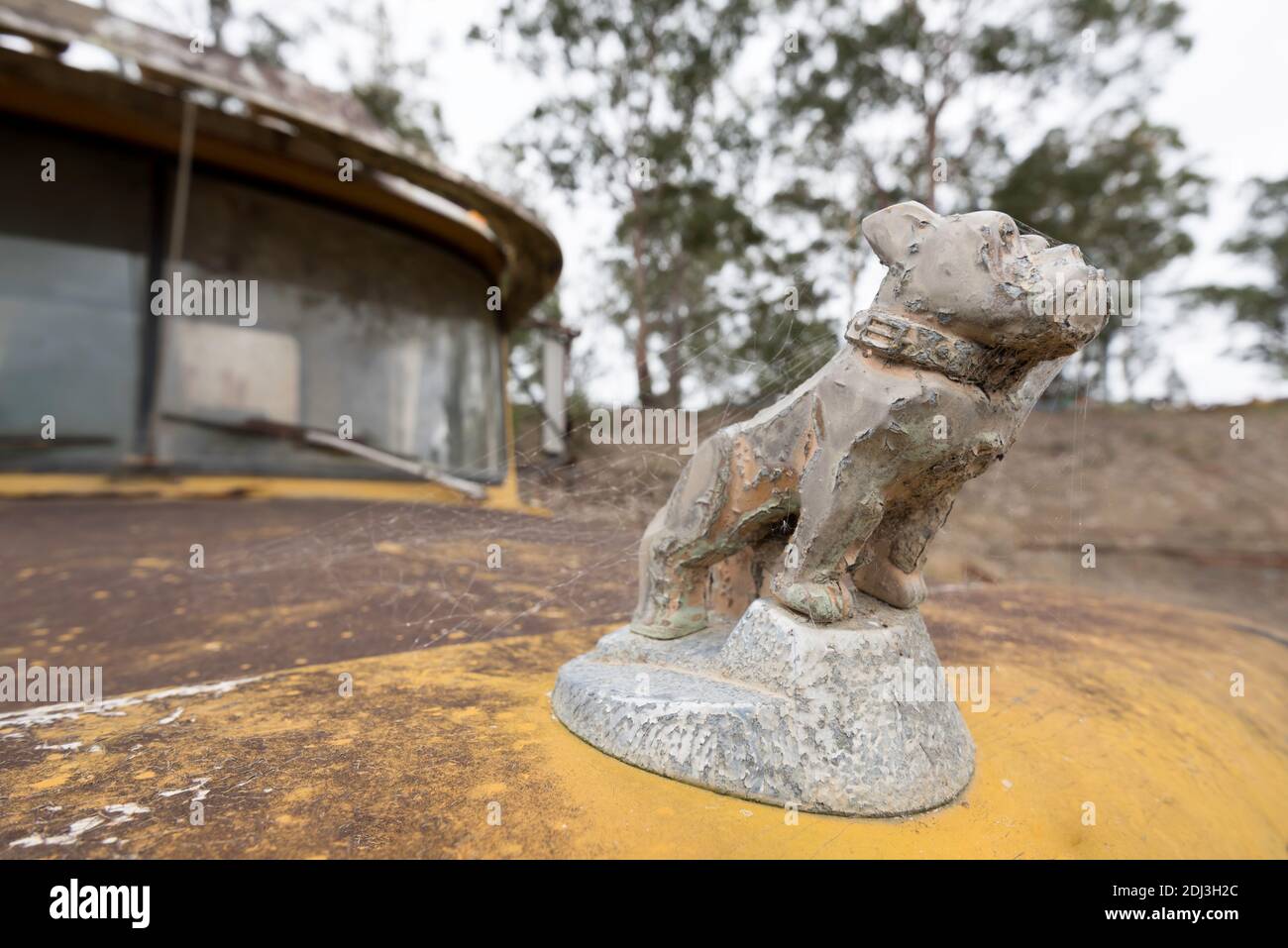 A severly weathered and cobweb covered Mack Bulldog hood ornament on a retired and rusting Mack Truck. The Bulldog has been a Mack feature since 1917 Banque D'Images