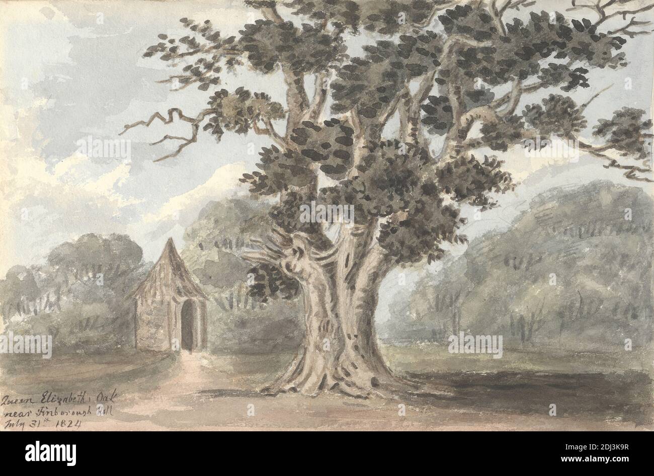 Queen Elizabeth's Oak près de Finborough Hall le 31 juillet 1824, Anne Rushout, ca. 1768–1849, British, 1824, aquarelle et graphite sur papier à feuilles crème légèrement texturées et moyennement épais, feuille : 7 × 10 1/2 pouces (17.8 × 26.7 cm) Banque D'Images