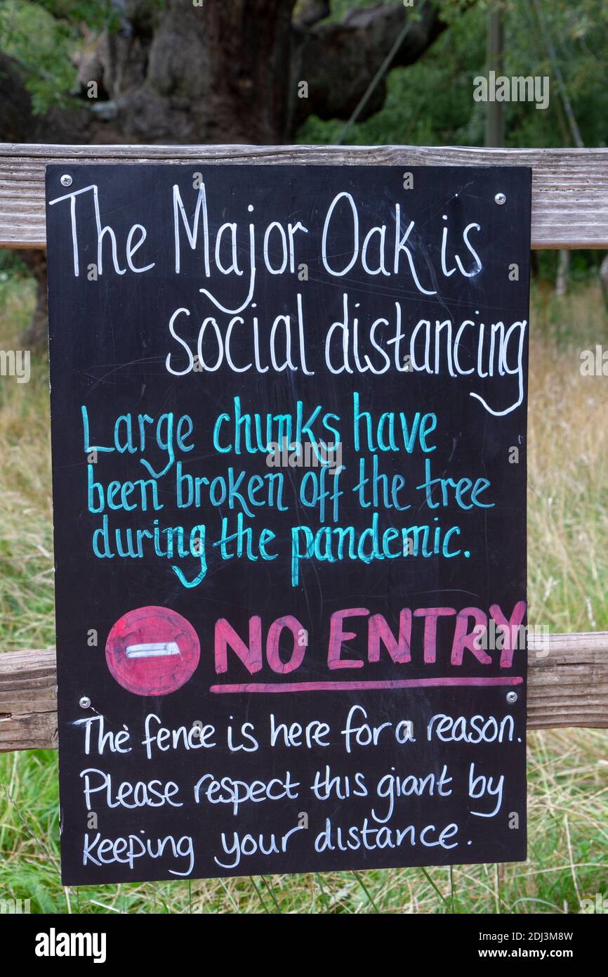 Panneau « no Entry » informant les visiteurs que le Major Oak est « social distance » (en cas de pandémie de 2020), Sherwood Forest, notighamshire, Royaume-Uni. Banque D'Images