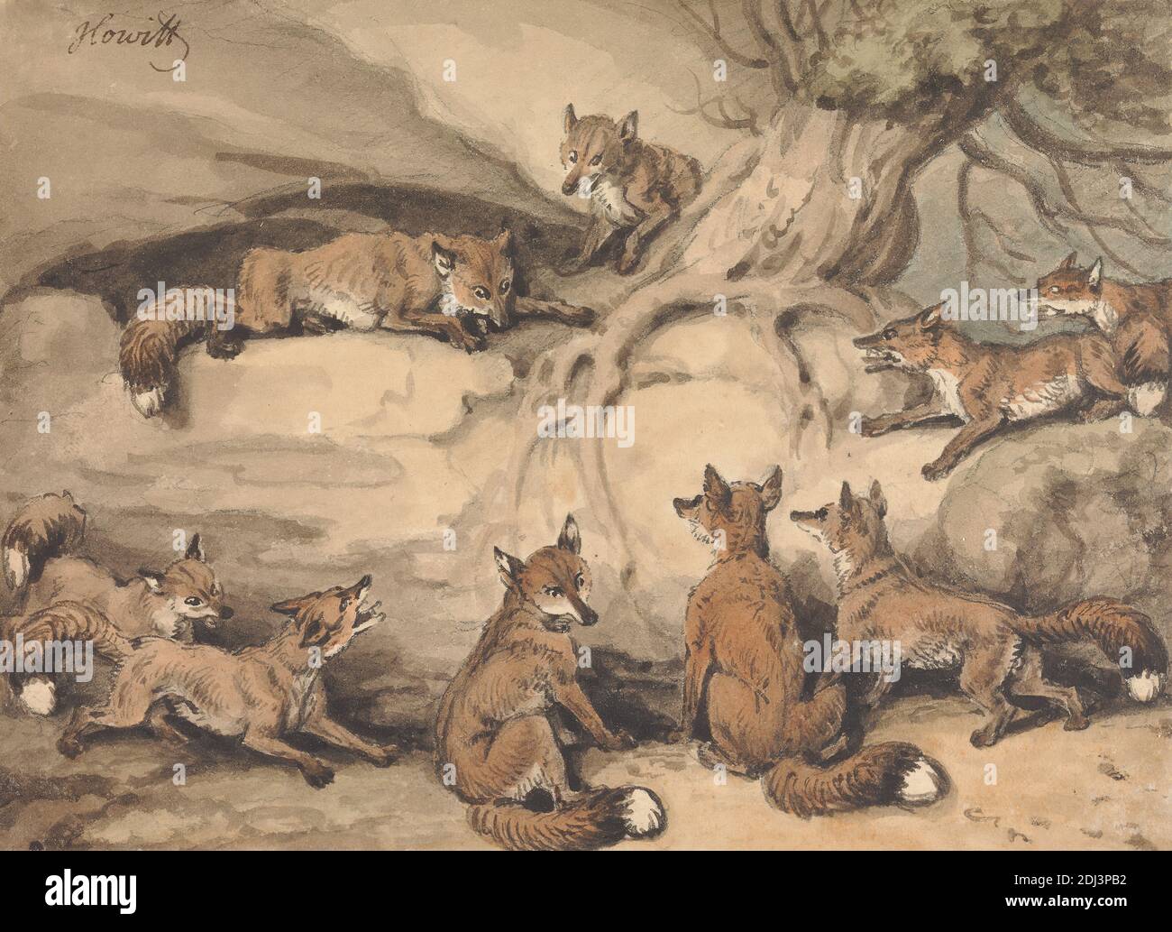 Neuf renards rassemblés autour d'un arbre : une illustration de la fable d'Aesop, 'le renard qui a perdu sa queue', Samuel Howitt, 1756–1822, britannique, non daté, aquarelle, avec stylo, à l'encre noire, sur graphite sur papier moyen, légèrement texturé, crème, vélin, monté sur, modérément épais, modérément texturé, beige, papier coulé, Mount: 10 11/16 × 10 1/16 pouces (27.1 × 25.6 cm), bordure dessinée contemporaine: 6 1/8 × 8 3/16 pouces (15.6 × 20.8 cm), et feuille: 5 1/4 × 7 1/4 pouces (13.3 × 18.4 cm), art des animaux Banque D'Images