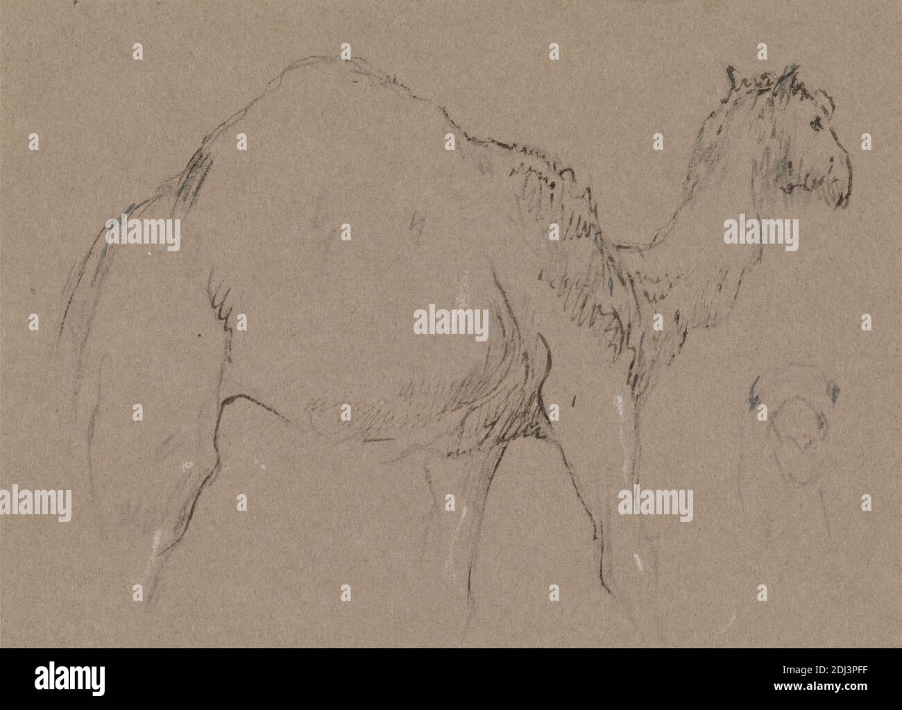 Un chameau se déplaçant vers la droite; une esquisse de la tête d'un chameau, en bas à droite, George Jones, 1786–1869, British, ca. 1850, Plume, à l'encre brune, graphite et gouache blanc sur papier vélin, moyen, légèrement texturé, brun, feuille: 3 9/16 × 4 15/16 pouces (9 × 12.5 cm), art animal Banque D'Images