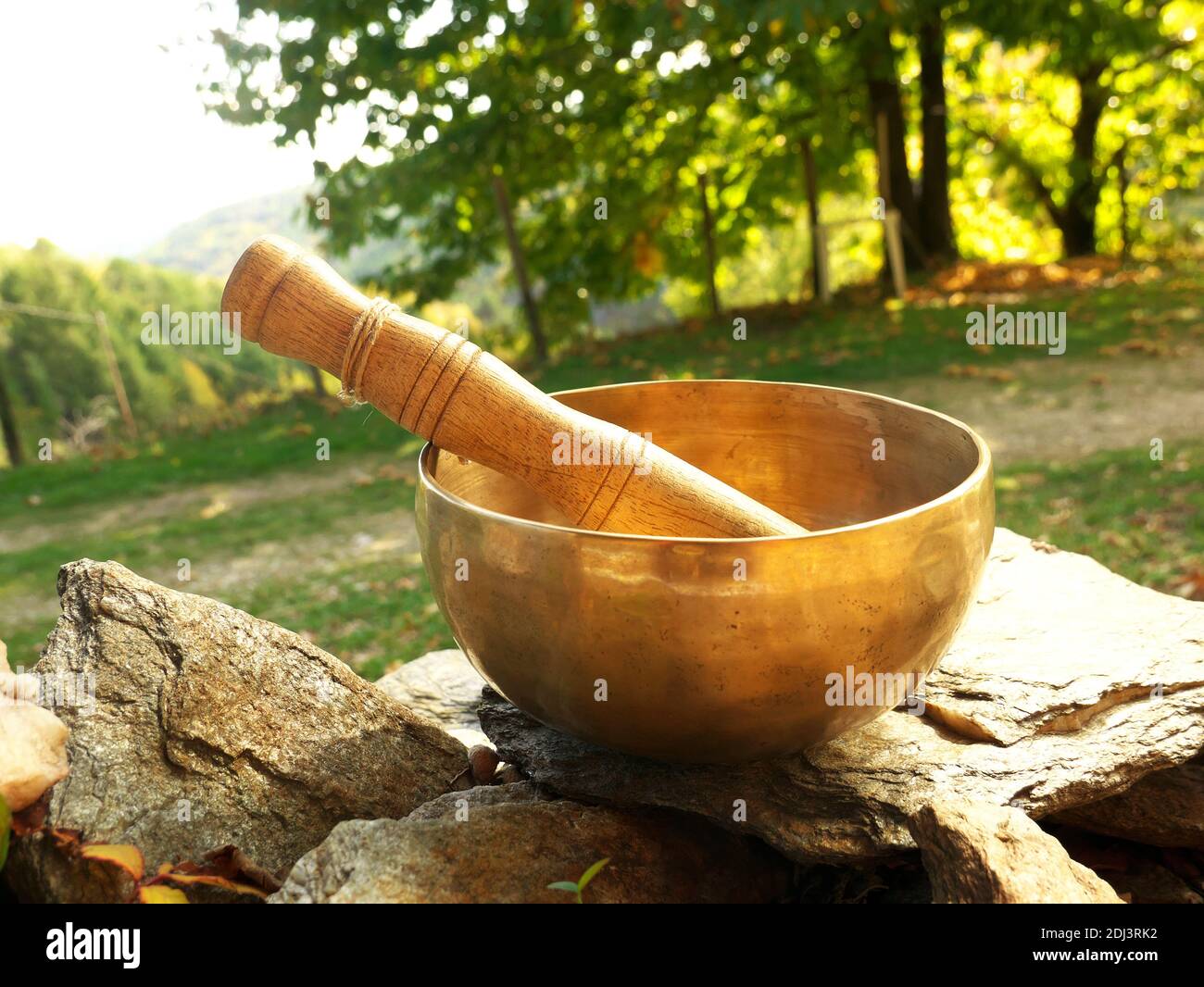Bol de chant placé sur des galets avec la nature en arrière-plan Banque D'Images