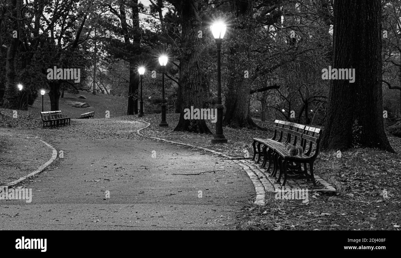 Central Park, New York en automne à l'aube Banque D'Images