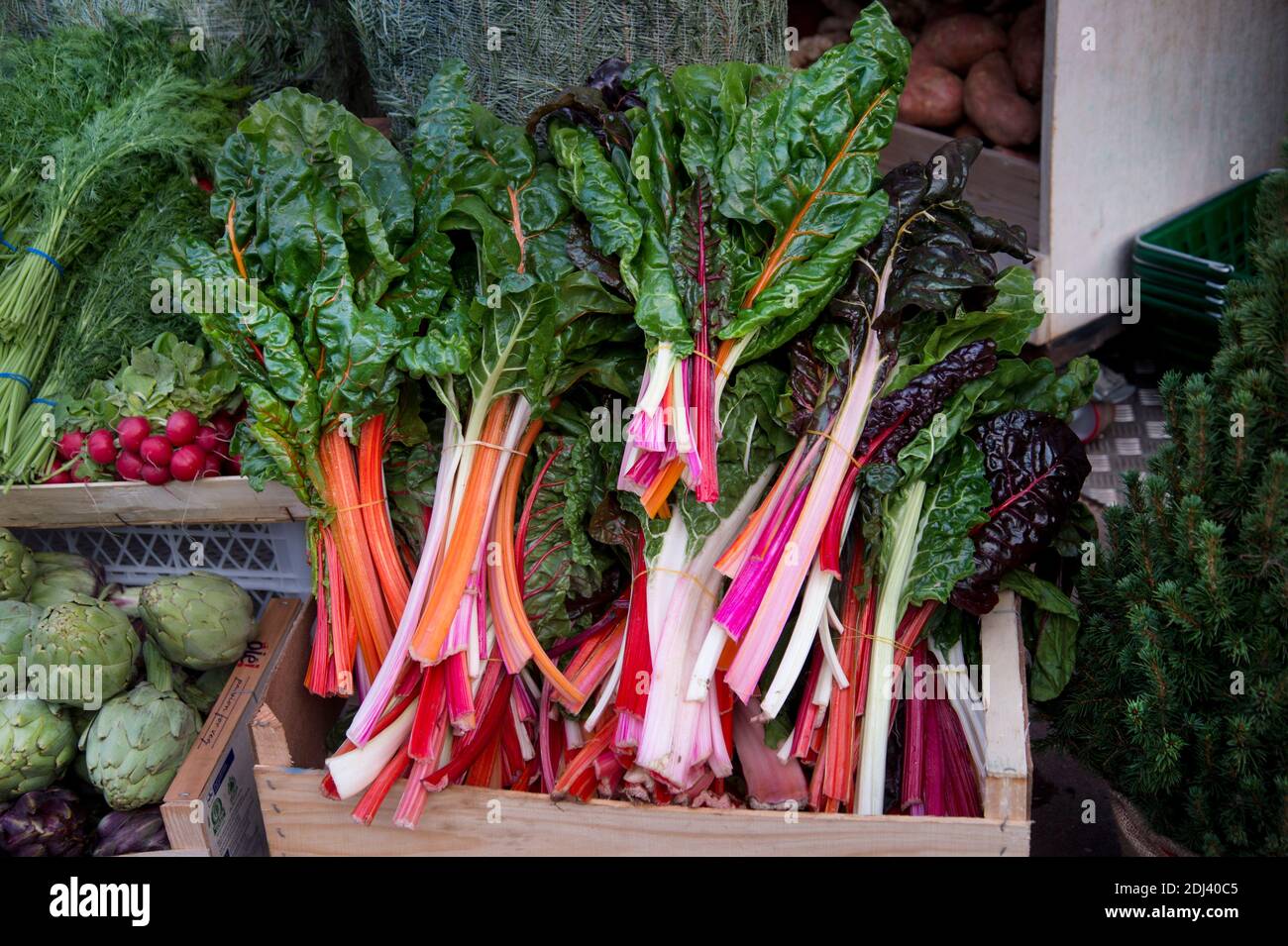 Londres, Hackney, Chatsworth Road. Magasin de légumes. Le verger arc-en-ciel et d'autres légumes de saison sont en solde. Banque D'Images