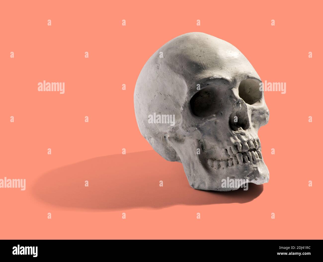 Modèle réaliste d'un crâne humain avec des dents inclinées à le côté avec une ombre sur un fond orange avec copyspace pour une horreur médicale ou d'Halloween c Banque D'Images