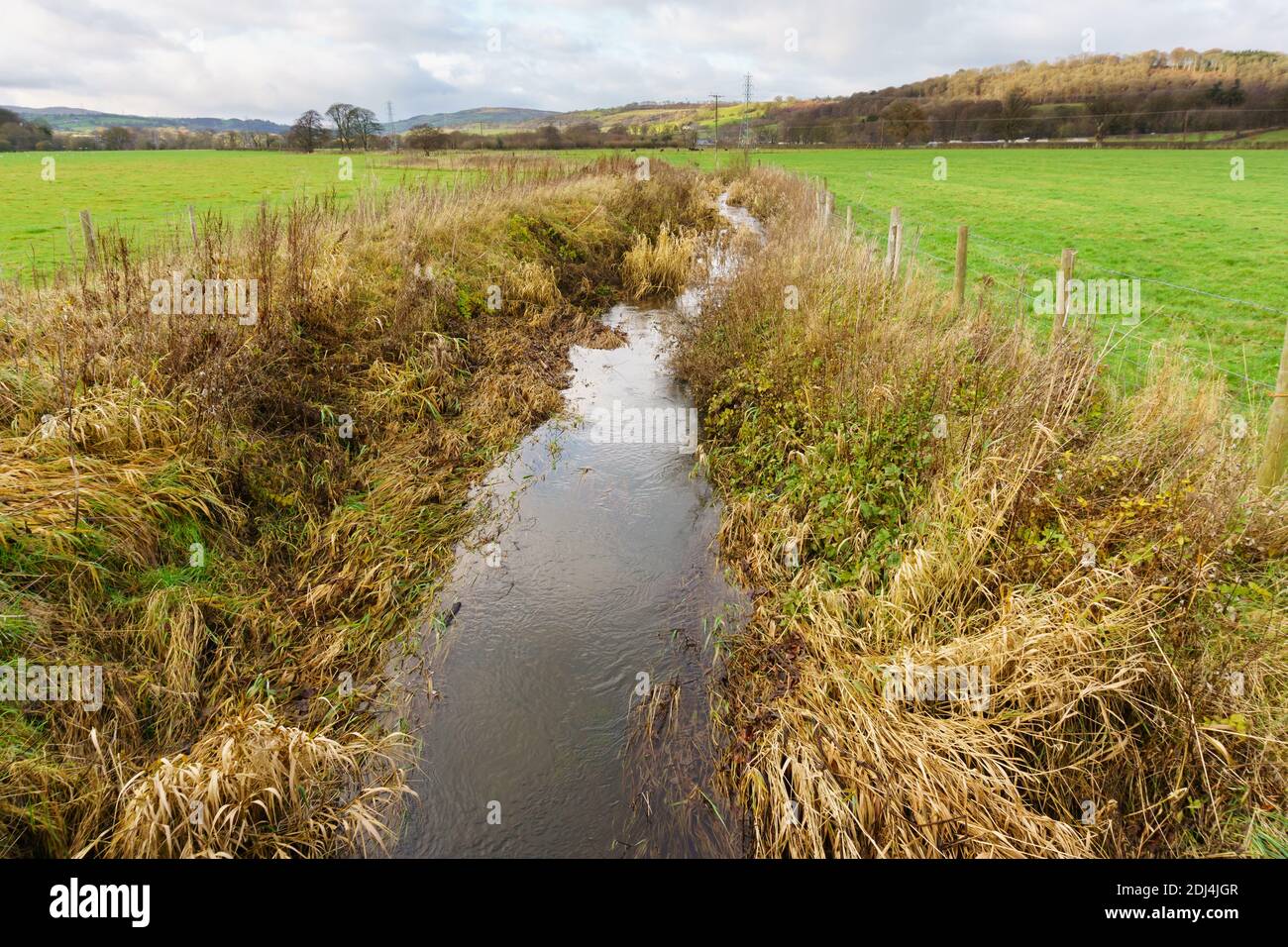 Fossé de drainage agricole pour éliminer l'excès d'eau des champs engorés sur une ferme Banque D'Images