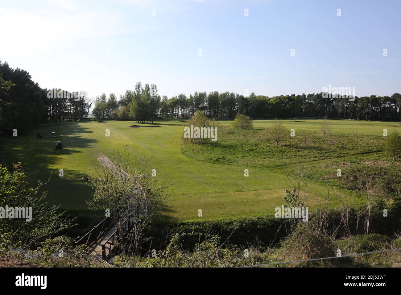 Parcours de golf et parc Belleisle Seafield, South Ayrshire, Écosse, Royaume-Uni. Belleisle Estate est une attraction familiale populaire avec son parc de cerfs, son aire de jeux pour enfants, ses promenades dans les bois et son jardin clos formel.UN programme complet de 3,7 millions de livres pour restaurer Belleisle Estate a commencé en 2014, après que le projet ait obtenu une subvention de 1,9 millions de livres sterling du Heritage Lottery Fund. Le domaine dispose également de deux parcours de golf publics de 18 trous conçus par M. James Braid (représentés par une statue en bois sculpté). Le club de golf récemment restauré est ouvert au public et propose un café et des toillets Banque D'Images