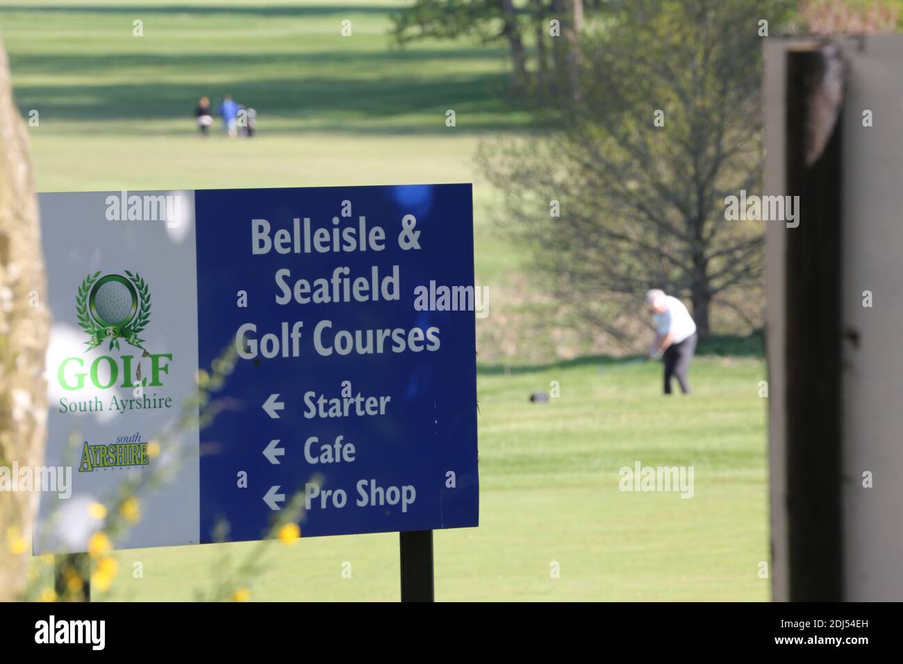 Parcours de golf et parc Belleisle Seafield, South Ayrshire, Écosse, Royaume-Uni. Belleisle Estate est une attraction familiale populaire avec son parc de cerfs, son aire de jeux pour enfants, ses promenades dans les bois et son jardin clos formel.UN programme complet de 3,7 millions de livres pour restaurer Belleisle Estate a commencé en 2014, après que le projet ait obtenu une subvention de 1,9 millions de livres sterling du Heritage Lottery Fund. Le domaine dispose également de deux parcours de golf publics de 18 trous conçus par M. James Braid (représentés par une statue en bois sculpté). Le club de golf récemment restauré est ouvert au public et propose un café et des toillets Banque D'Images
