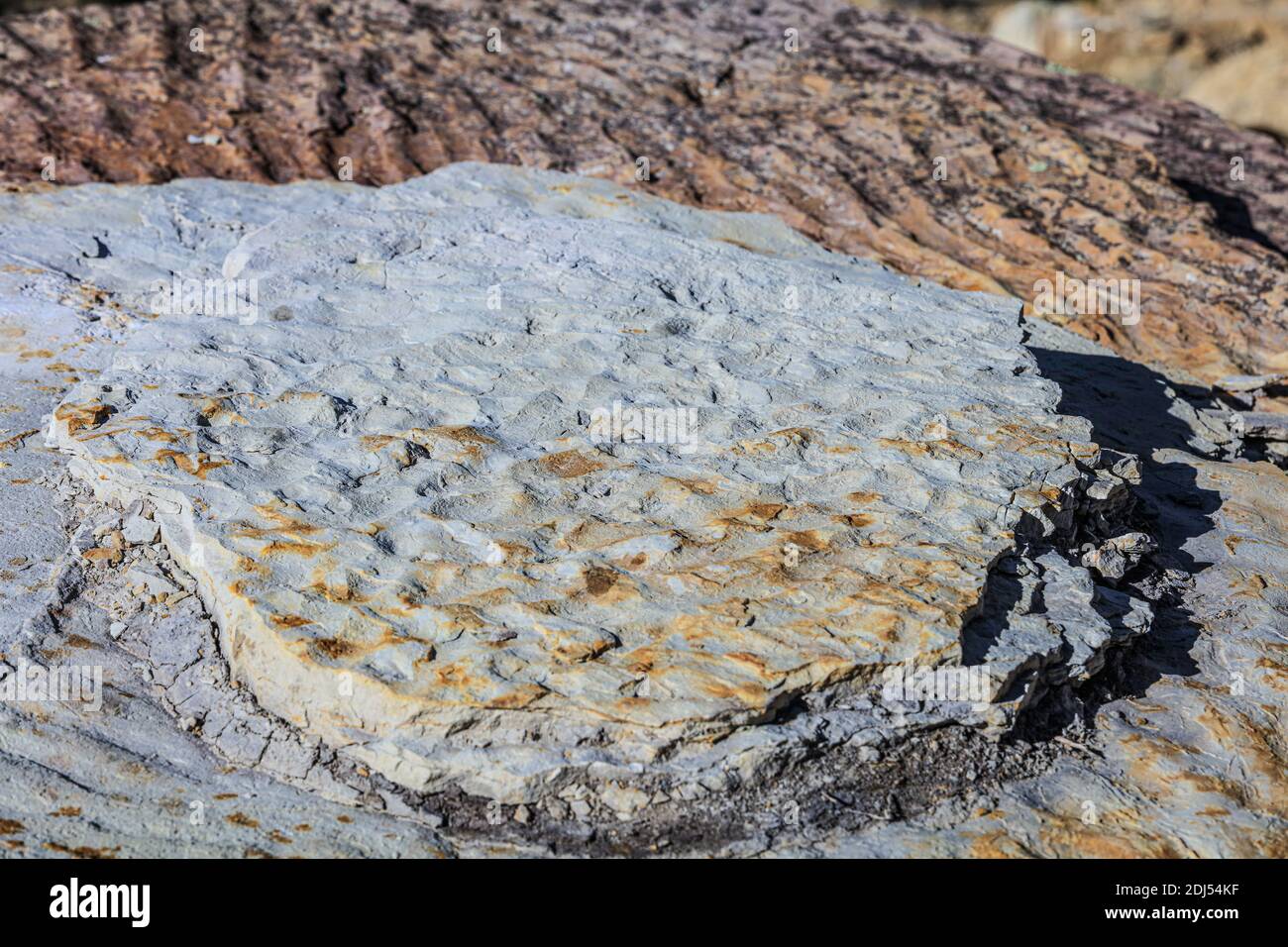 Randonnée dans le parc national de Red Rock, près de Gallup en Arizona. Banque D'Images