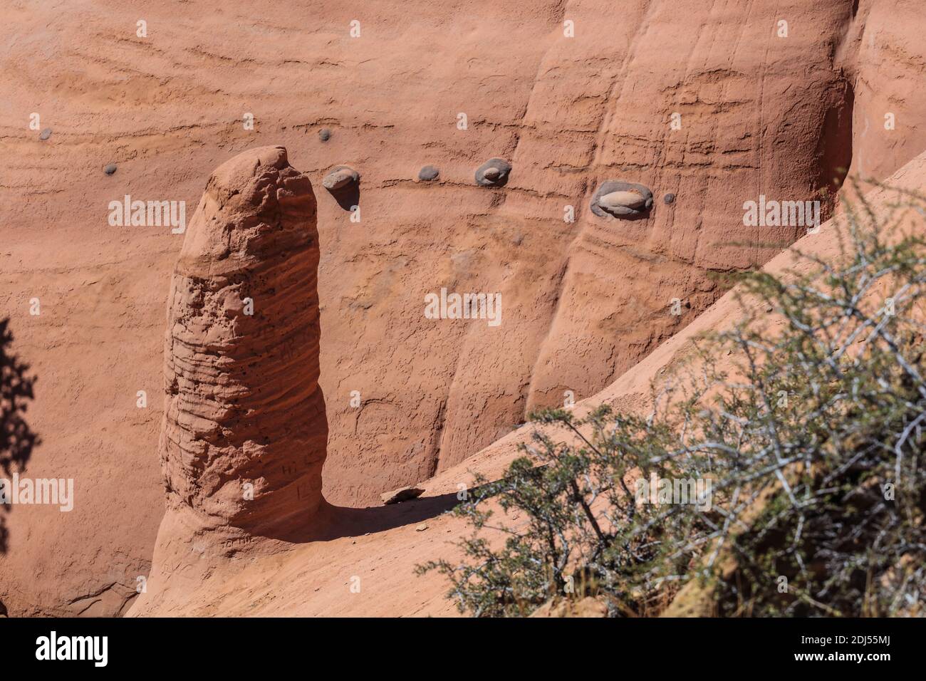 Randonnée dans le parc national de Red Rock, près de Gallup en Arizona. Banque D'Images