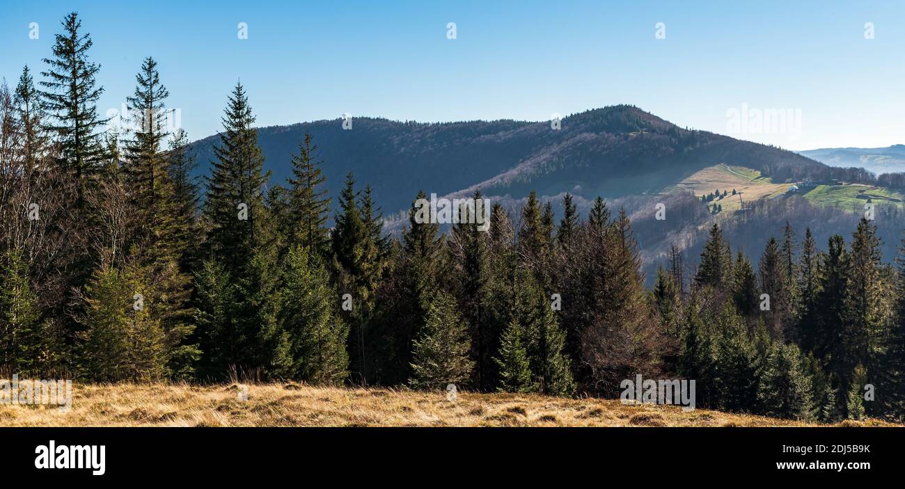 Wielka Czantoria depuis la colline de Mala Czantoria dans les montagnes de Beskid Slaski En Pologne, près des frontières avec la république tchèque Banque D'Images