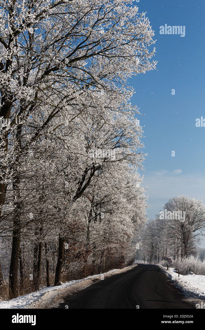 Une promenade d'hiver près du canal dans le nord de l'Allemagne près Oldenburg Banque D'Images