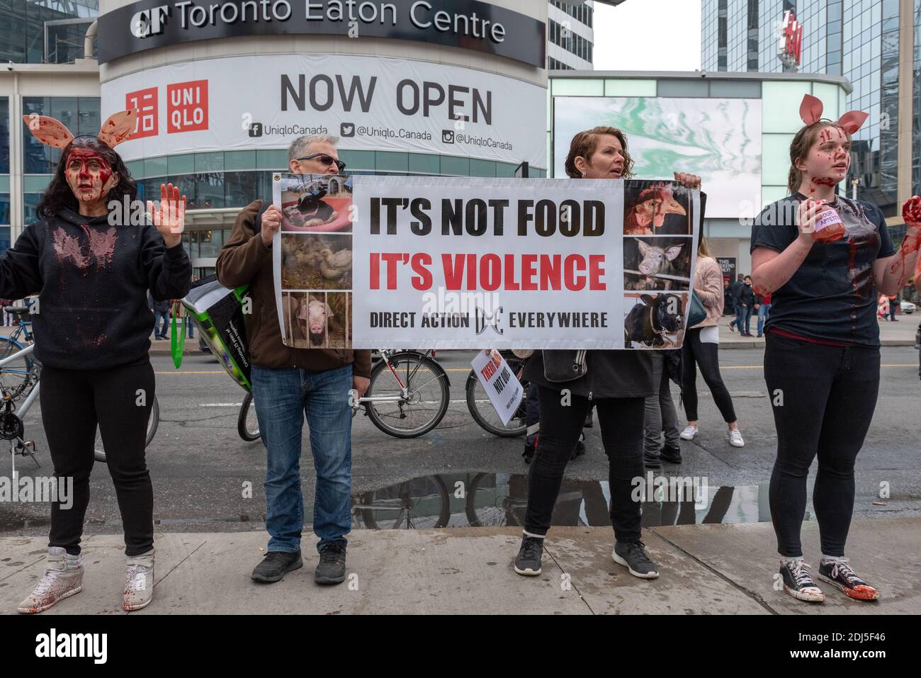 Manifestation végétalienne au Toronto Ribfest, Canada, le 27 mai 2017 Banque D'Images