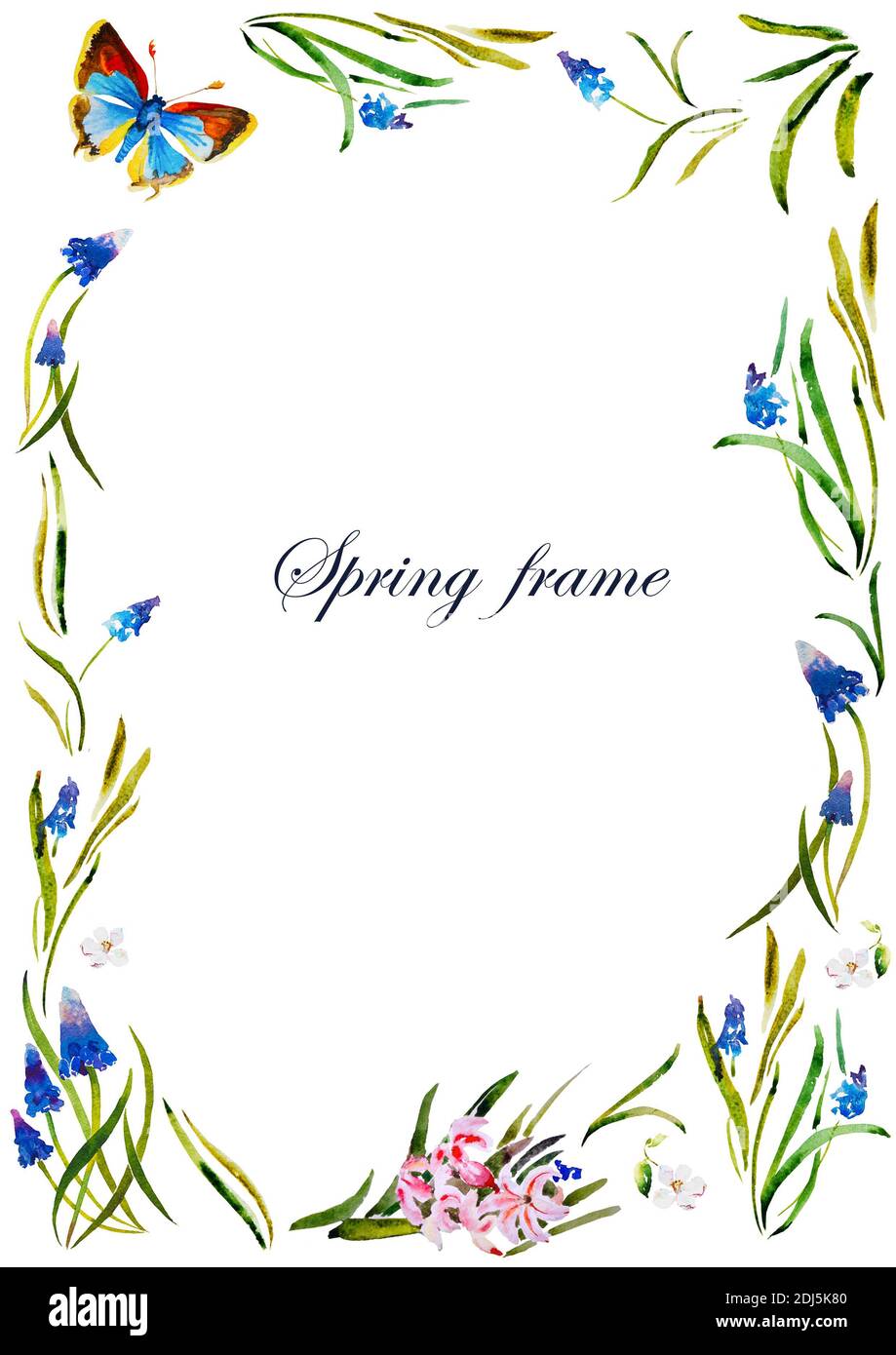 Motif aquarelle floral printanier rectangulaire sur fond blanc et violet jacinthe et fleurs de muscari bleues Banque D'Images