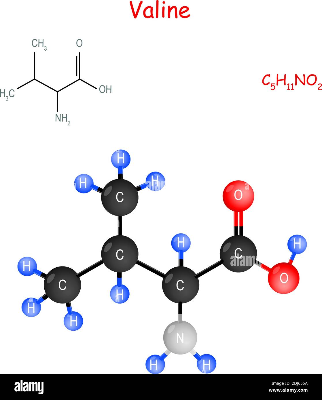 La valine est un acide aminé essentiel. Formule structurale chimique et  modèle de molécule. C5H11NO2. Illustration vectorielle à usage éducatif et  médical Image Vectorielle Stock - Alamy