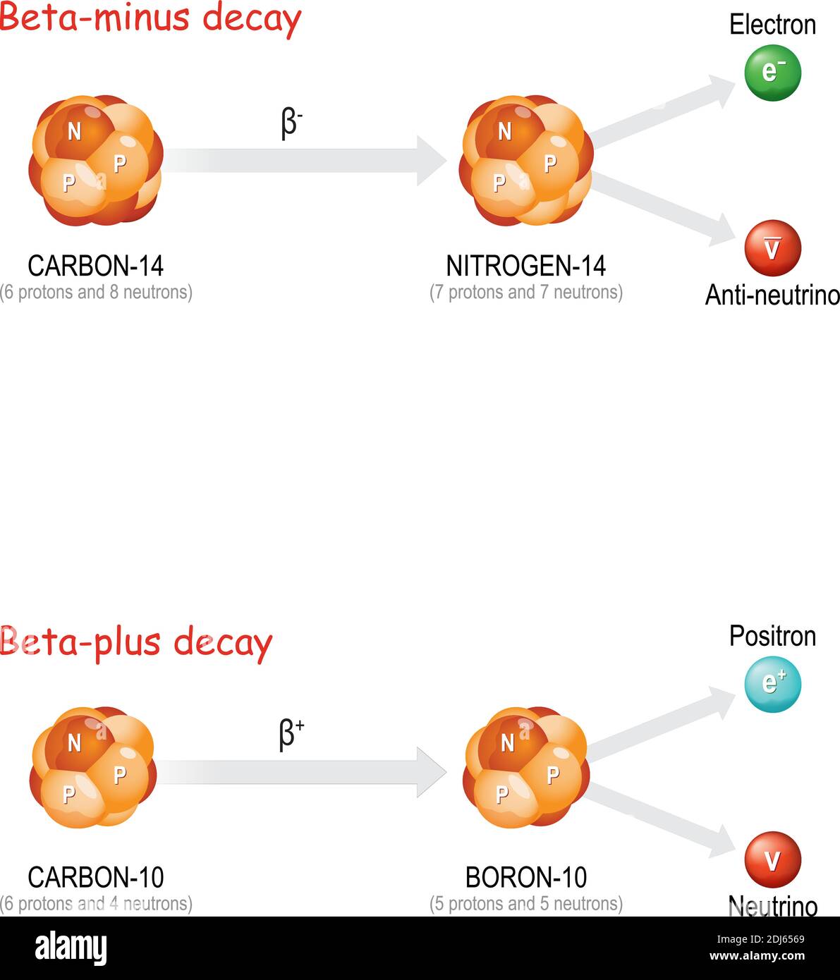 Décroissance bêta-plus et bêta-moins. La substance change le nombre de protons dans le noyau et forme un nouvel élément stable Illustration de Vecteur