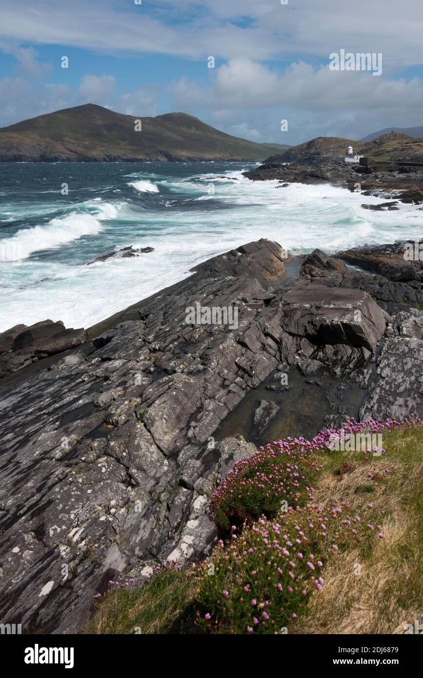 Landschaft beim Leuchtturm von Valentia, Valentia Island, le Skellig Ring, Irland, Grossbritannien , Valencia Island, Insel, Banque D'Images